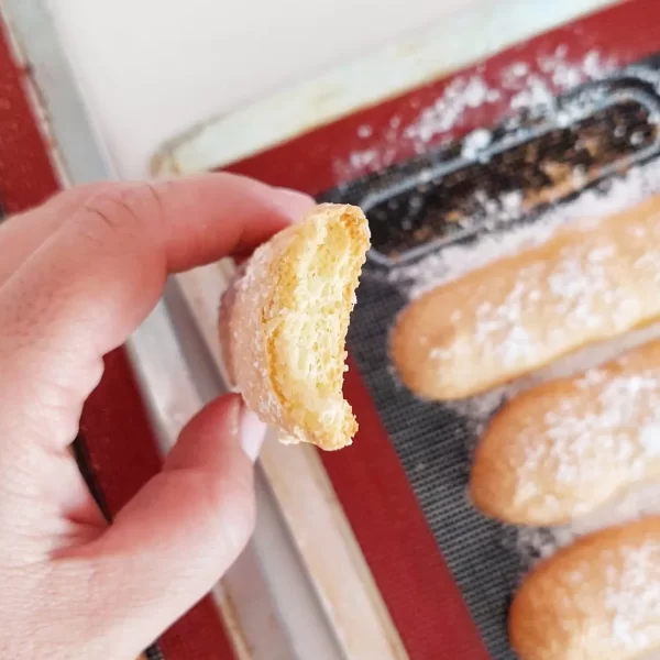 Biscuit à la cuillere - Vainillas