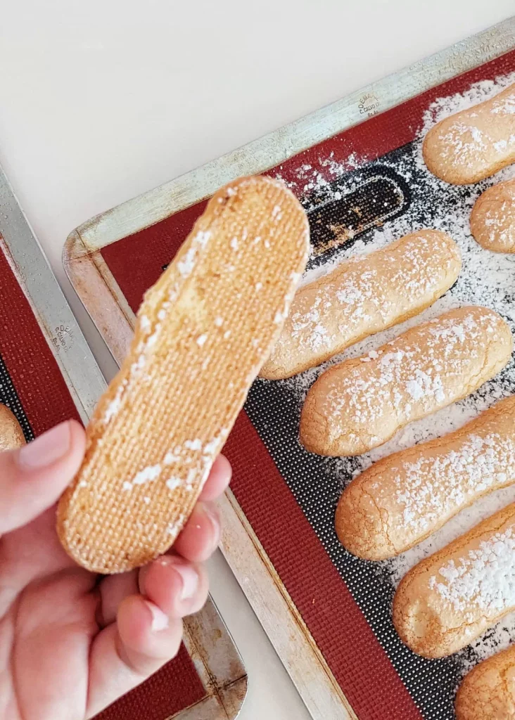 Biscuit à la cuillere - Vainillas